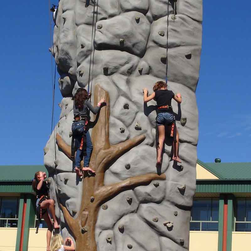 C and C Mobile Rock Climbing Wall Hire