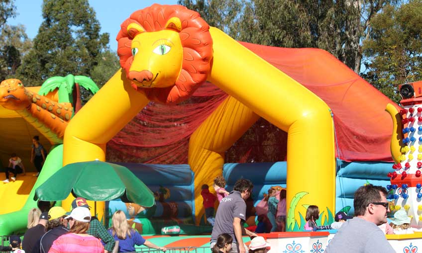 Jubilee Lion Safari Jumping Castle