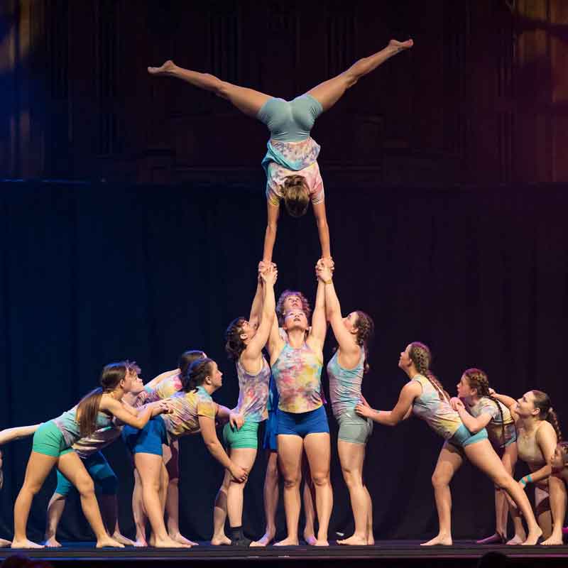 Flipside Circus Performers Brisbane
