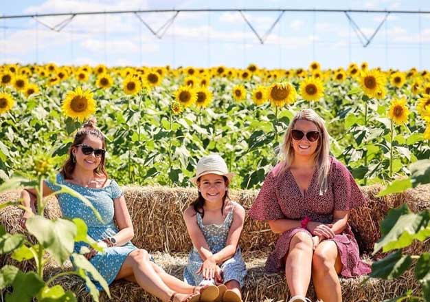 Kalbar Sunflower Festival