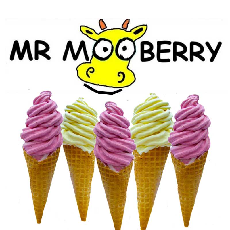 Mr Mooberry Real Fruit Ice Cream Gold Coast
