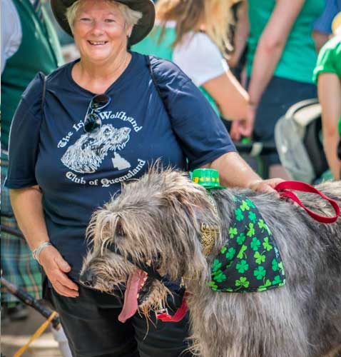 Brisbane Irish Festival St Patricks Day Parade Wolfhound